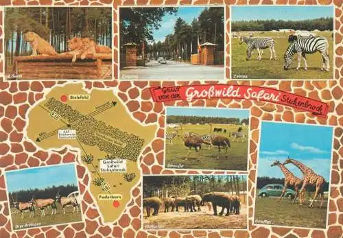 Germany Senne Grosswild Safari animals several views