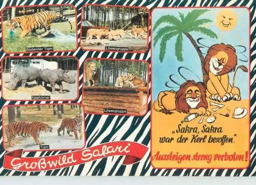 Germany Senne Grosswild Safari animals multi view
