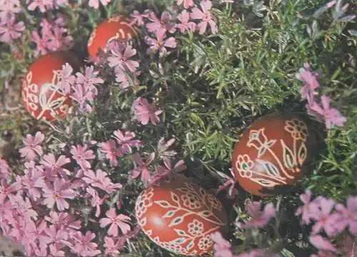Postcard greetings card Easter Happy Easter Holidays eggs Hungary