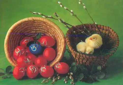 Postcard greetings card Easter Happy Easter Holidays eggs Hungary chicken
