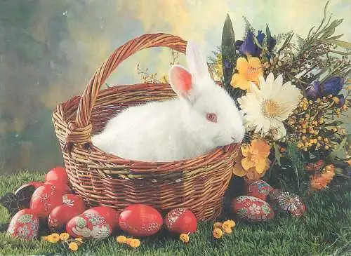 Postcard greetings card Easter Happy Easter Holidays eggs Hungary bunny