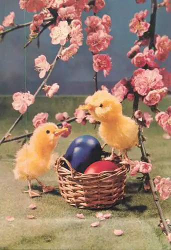 Postcard greetings card Easter Happy Easter Holidays eggs Hungary 1973 chicks
