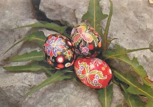 Postcard greetings card Easter Happy Easter Holidays eggs Hungary