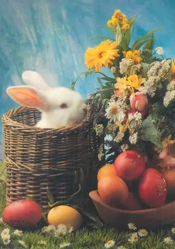 Postcard greetings card Easter Happy Easter Holidays eggs Hungary basket rabbit