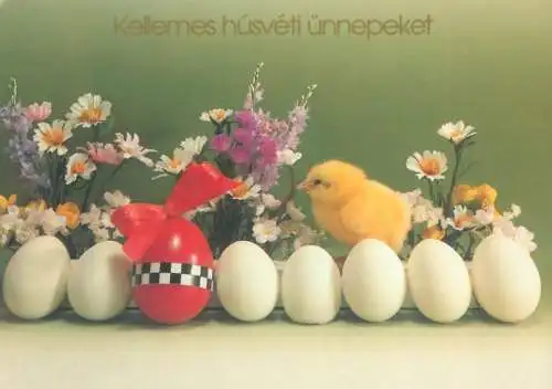 Postcard greetings card Easter Happy Easter Holidays eggs Hungary 1998