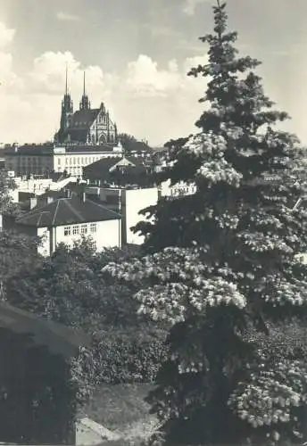 Postcard Czech Republic Brno Petrov view