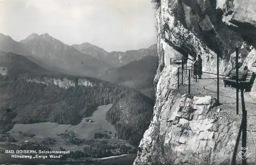 Postcard Austria Salzburg Bad Goisern Salzkammergut