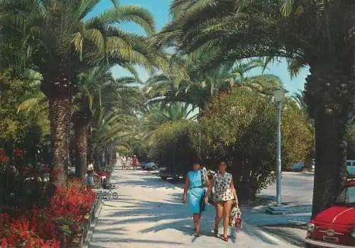Italy Venezia area S. Benedetto del Tronto Palms Avenue