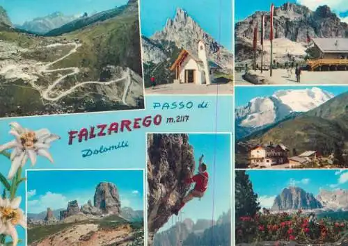 Italy Dolomiti Passo di Falzarego multi view mountain flora edelweiss