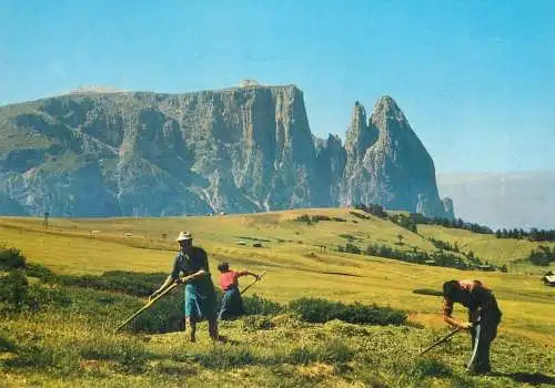 Italy Dolomiti Alpe di Siusi Lo Siciliar rural life types and scenes
