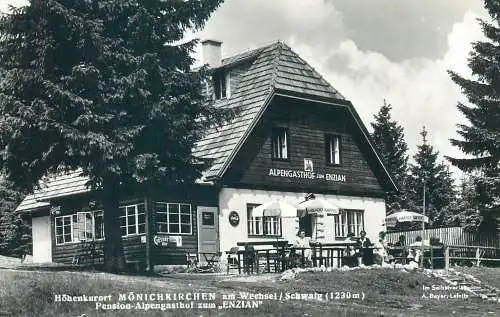Postcard Austria Hohenkurort Monichkirchen am Weehsel Schwaig