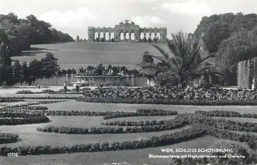 Postcard Austria Wien Schönbrunn Palace