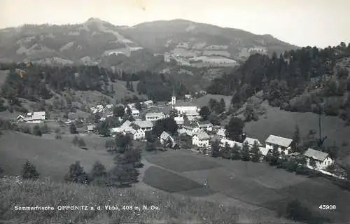 Postcard Austria Sommerfrische Opponitz Ybbs