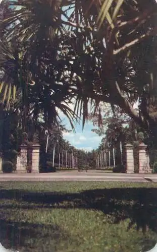 Postcard USA Florida Miami Hialeah race course entrance 1962