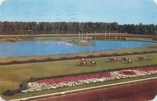 Postcard USA Florida Miami Hialeah race course 1962