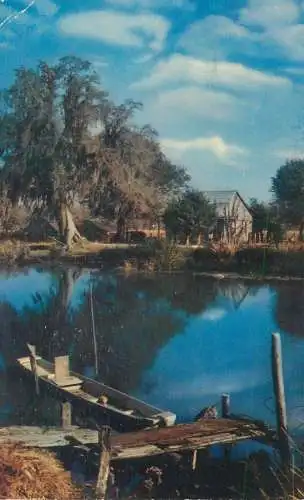 Postcard USA Mississippi Bayou 1955