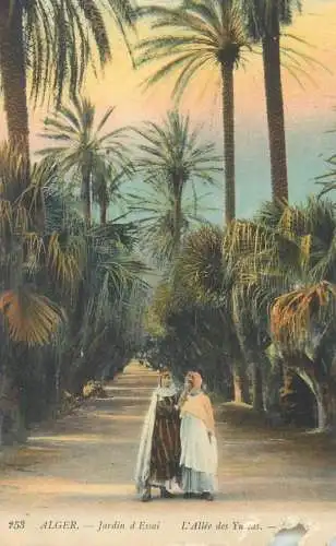 Alger Jardin d`Essai cpa