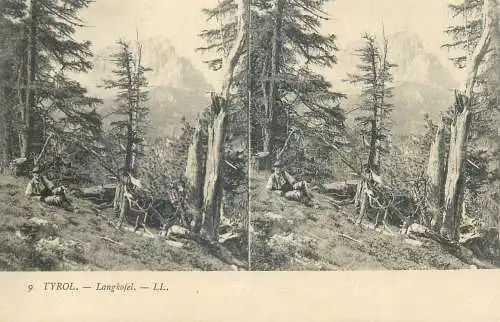 Austria Tirol stereo postcard Langkofel forest scene