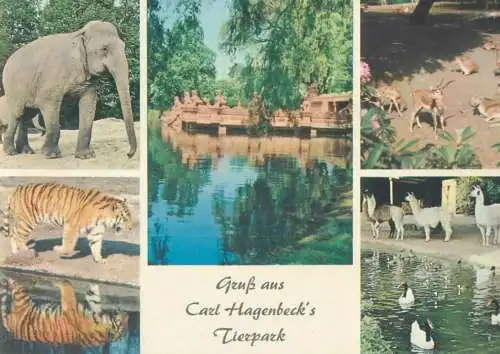 Germany Hamburg-Stellingen Gruss aus Carl Hagenbeck's Tierpark multi view