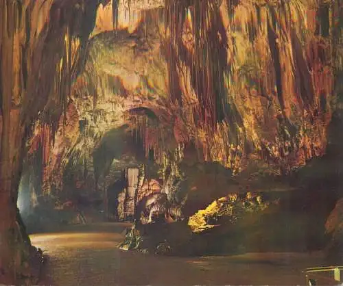 Slovenia Postojna Cave