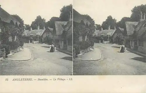 Stereographic view stereo postcard Julien Damoy Shanklin village