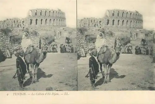 Tunisia cpa stereographique la Colisee d'El-Djem camel ethnic bedouin