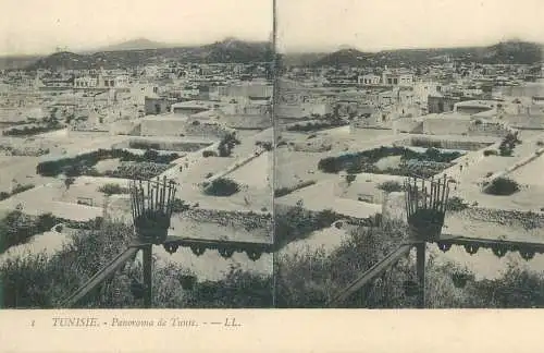 Tunisia cpa stereographique panorama de Tunis