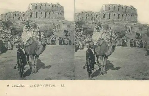 Tunisia cpa stereographique la Colisee d'El-Djem camel bedouin ethnic