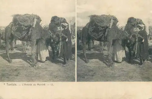 Tunisia cpa stereographique caravan ethnic camel market bedouin