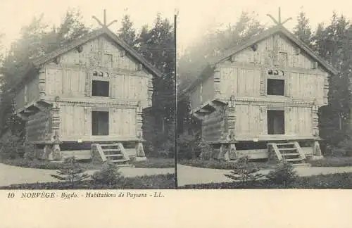 Stereographic image postcard Norway Bygdo Habitation de Paysans