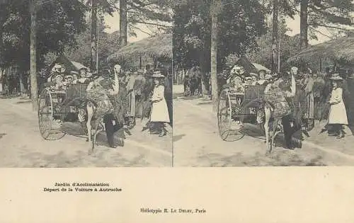 France cpa stereoscopique Paris jardin d'Acclimatation promenade dans la voiture a autruche