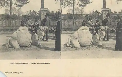 France cpa stereoscopique Paris jardin d'Acclimatation voyage sur le chameau