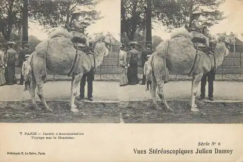 France cpa stereoscopique Paris jardin d'Acclimatation voyage sur le chameau