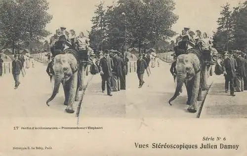 France cpa stereoscopique jardin d'Acclimatation promenade sur l'Elephant