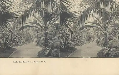 France cpa stereoscopique jardin d'Acclimatation la serre no 2
