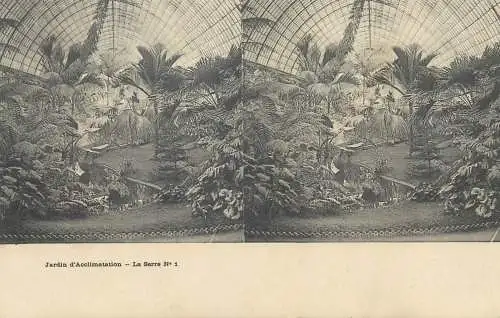France cpa stereoscopique jardin d'Acclimatation la serre no 1
