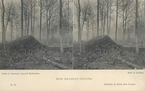 France cpa stereoscopique Bois de Saint Cucufa