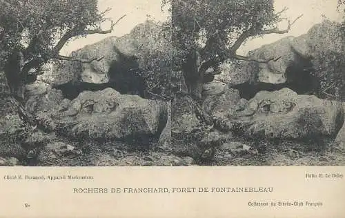 France cpa stereoscopique Rochers de Franchard Foret de Fontainebleau