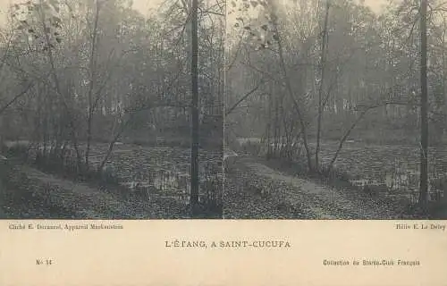 France cpa stereoscopique L'Etang a Saint Cucufa