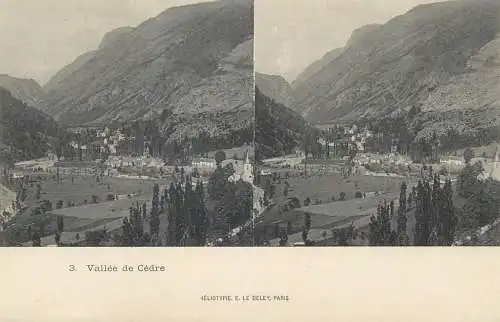 France cpa stereoscopique vallee de Cedre