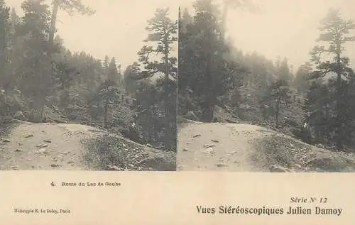 France cpa stereoscopique route du Lac de Gaube