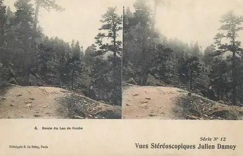 France cpa stereoscopique route du lac de Gaube