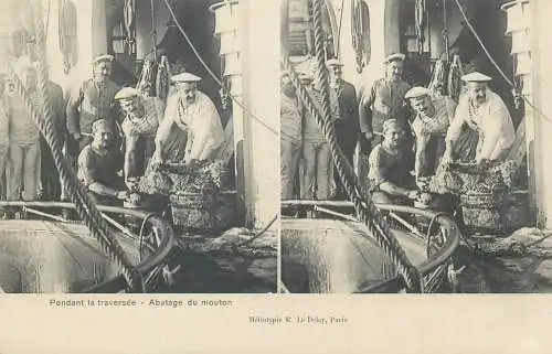 Marine française cpa vue stereoscopique pendant la traversee abatage du mouton