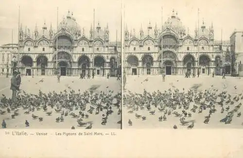 Stereographic image postcard Italy Venice piegons of Saint Marc square