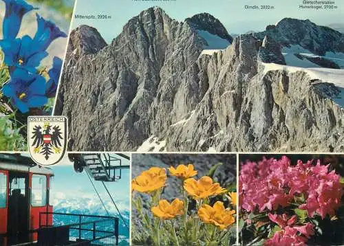 Austria Dachstein Sudwand mit Gletscherstation Hunerkogel Alpen Blumen multi view