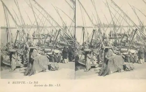 Stereographic image postcard Egypt CAIRO Le Nil arrive du Ble