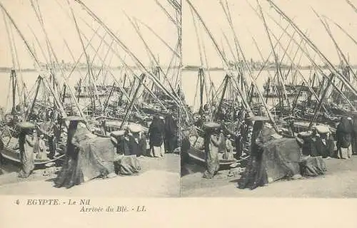 Stereographic image postcard Egypt CAIRO Le Nil arrive du Ble