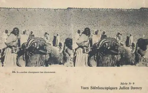 Vues Stereoscopiques Julien Damoy Algeria Algiers nomades chargeant les chameaux