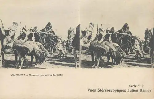 Vues Stereoscopiques Julien Damoy Algeria BISKRA Chevaux recouverts du Djelal