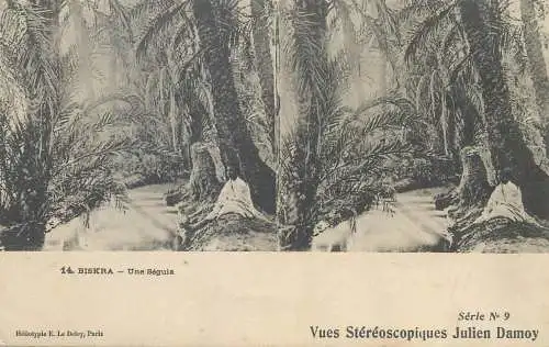 Vues Stereoscopiques Julien Damoy Algeria BISKRA une Seguia